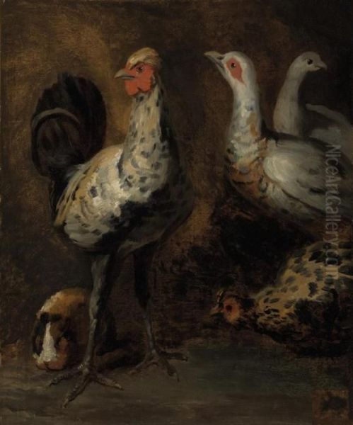 A Rooster, Three Chickens, And A Guinea Pig - view 1