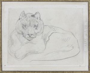 Lionne Au Repos
