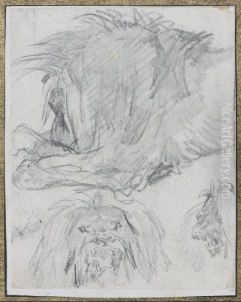 Etudes De Lion - view 1