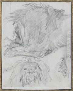 Etudes De Lion