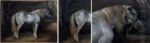 Cheval De Trait A L'ecurie