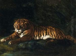 Tigre Royal Couche Au Bord D'un Ruisseau
