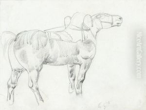 Cheval De Trait, Esquisse
