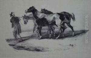 Sans Titre [chevaux]