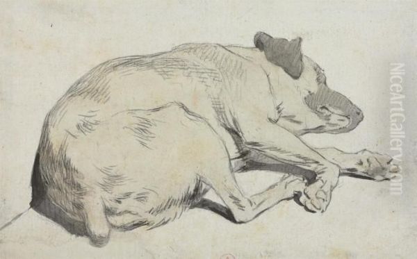 A Sleeping Dog - view 1