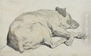 A Sleeping Dog