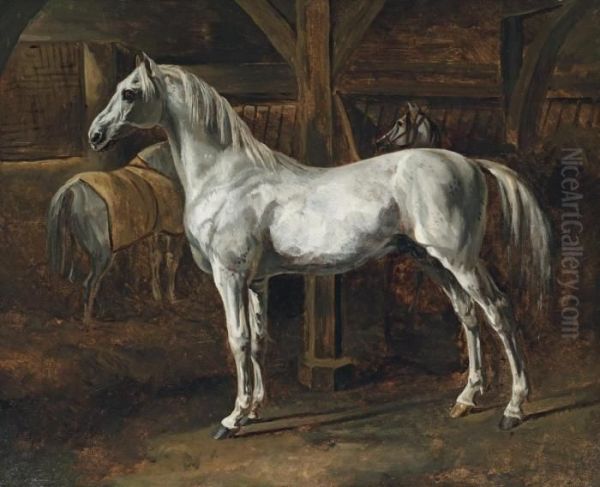 Cheval Blanc Debout Dans Une Ecurie - view 1