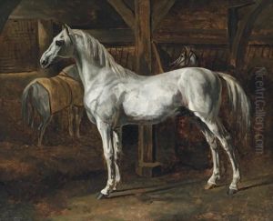 Cheval Blanc Debout Dans Une Ecurie