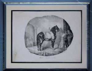 Cheval De La Plaine De Caen