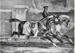 Horses Exercising. 1821. by Theodore Gericault
