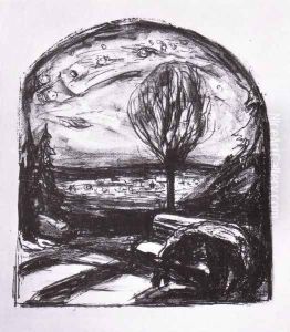 nuit étoilée 1920