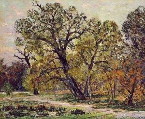 Autumn, Fontainebleau Forest