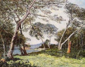 The Pines of the Ile St. Morah