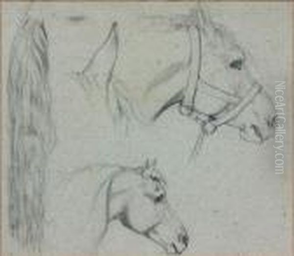 Trois Etudes De Tete De Chevaux - view 1