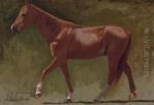 Study Of A Horse For Arabs Crossing The Desert