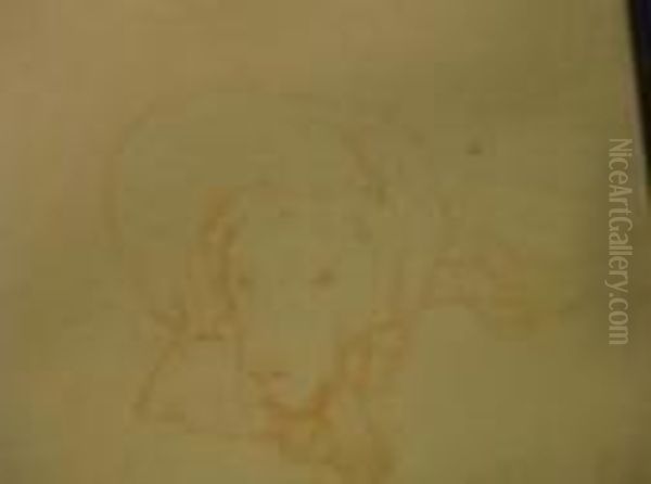 Chien Entendu. - view 1