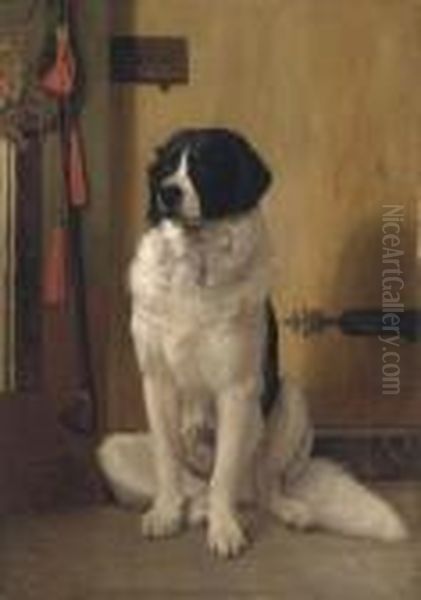 Etude De Chien De Terra-nuova ("l'attente") - view 1