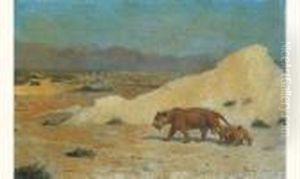 Lionne Et Lionceau Dans Un Paysage