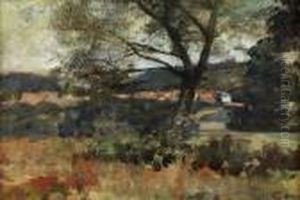 Paysage Paysage