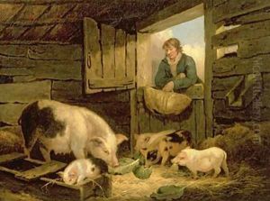 A Boy Looking into a Pig Sty 1794