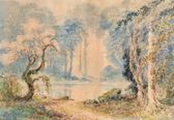 A Forest Fen - view 1