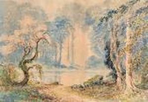 A Forest Fen