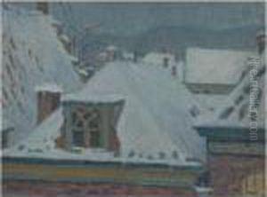 Besneeuwde Daken - Dooi