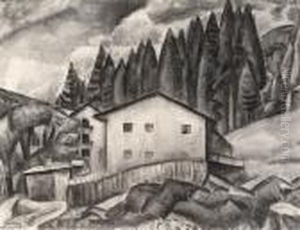 Bayr Wald - view 1