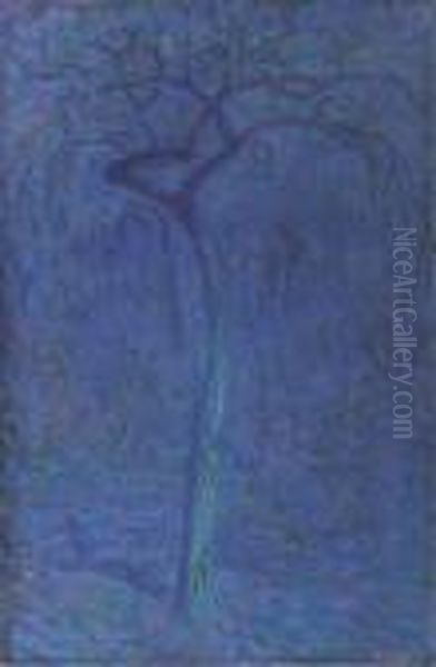 Boom In Maanlicht (de Blauwe Boom) - view 1