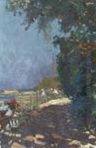 Boats Along The Shore