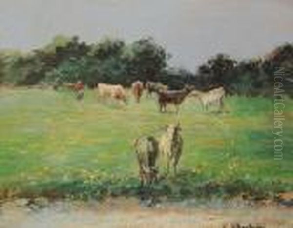Pascolo - view 1