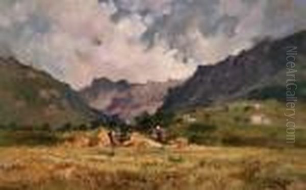 In Valfurva (sondrio), Campo Di Segala - view 1