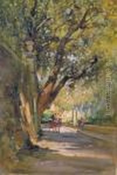 Lungo Il Cursal - view 1