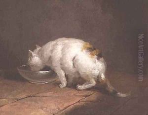 The Artists Cat Drinking The Artists Cat Drinking
