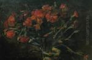 Carnations Carnations