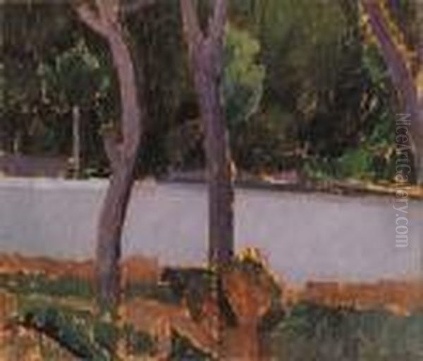 Pineta Di Castiglioncello - view 1