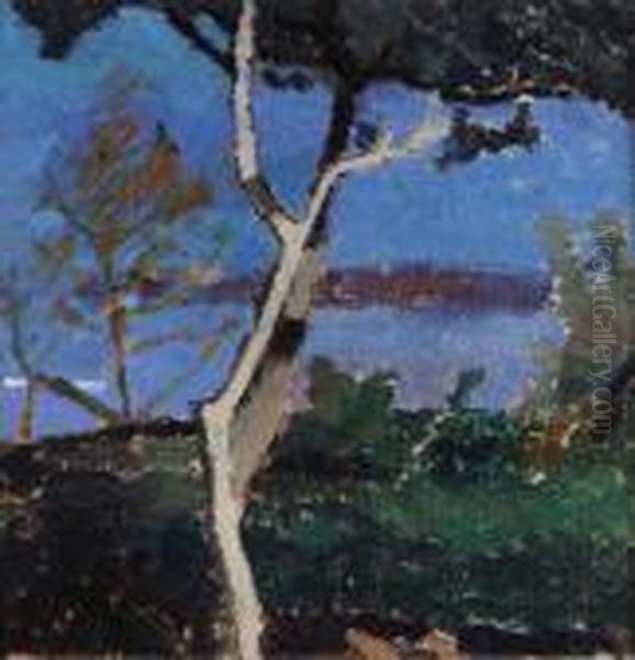 Albero - view 1
