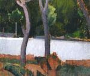 Due Alberi Due Alberi