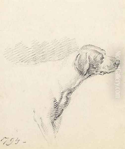 Study of a Hound 1794 - view 1