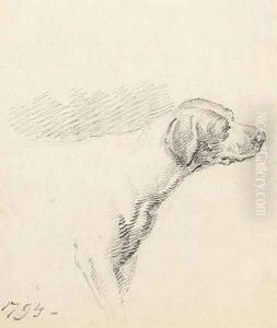 Study of a Hound 1794 by George Morland