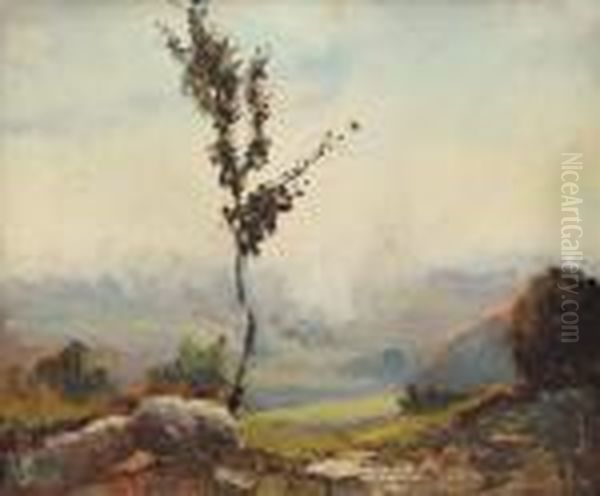 Paesaggio - view 1