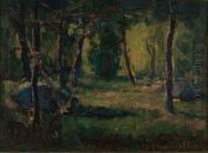 Luci Nel Bosco Di Cassano