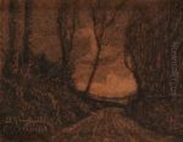 Strada Di Campagna - view 1