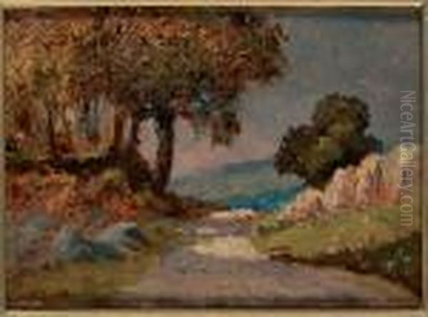 Paesaggio Collinare - view 1