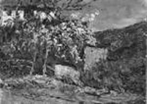 Paesaggio Collinare