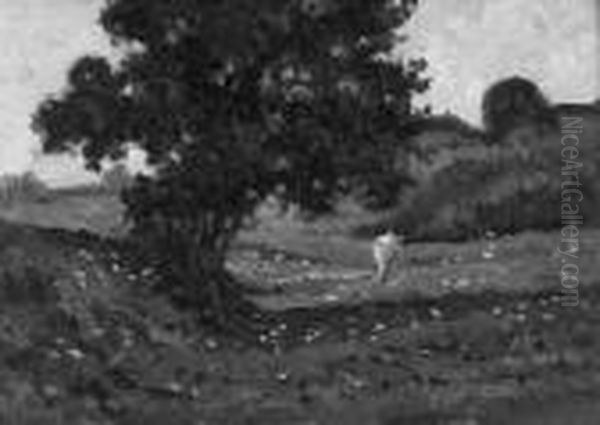 primavera - view 1
