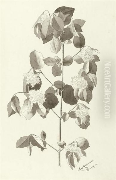 Flowering Lilac Branch - view 1