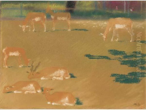 Hirschziegen - Antilope - view 1
