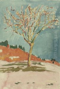 Baum Im Winter Baum Im Winter