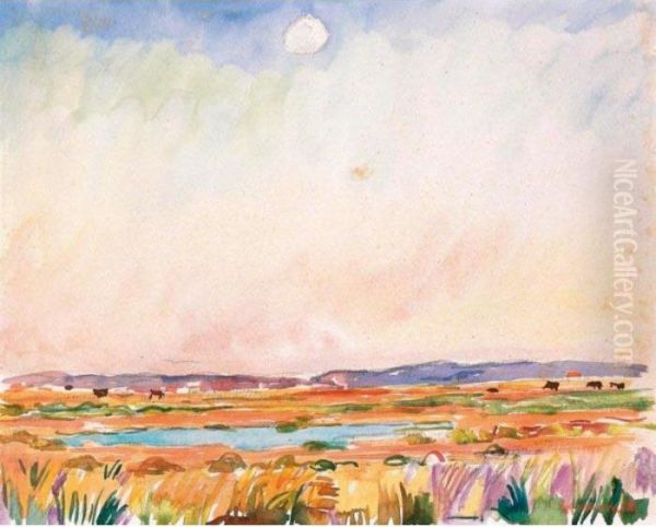 Camargue - view 1